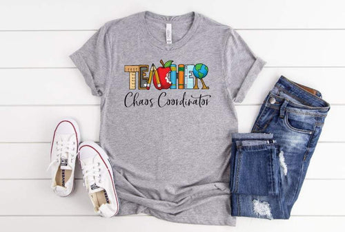 TEACHER CHAOS COORDINATOR SCHOOL- HTV TRANSFER