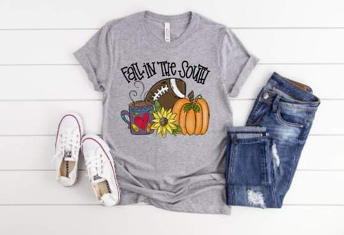 FALL IN THE SOUTH - HTV TRANSFER